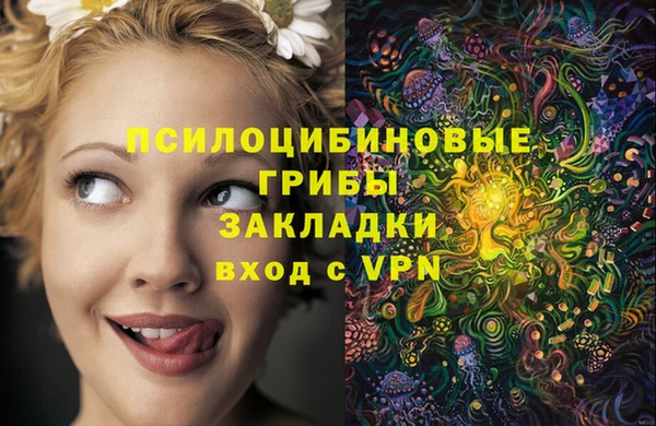 ALPHA PVP Корсаков